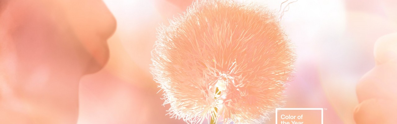 Peach Fuzz: Το χρώμα του 2024