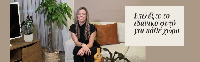 Φυτά εσωτερικού χώρου: Πώς να επιλέξετε το σωστό φυτό για κάθε δωμάτιο  | Deco tips