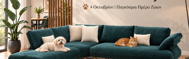 Παγκόσμια Ημέρα Ζώων: Το σπίτι είναι και δικό τους
