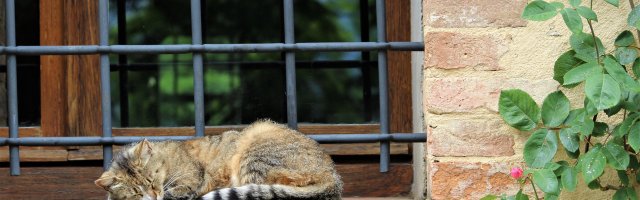 Πέντε μικρές αλλαγές στην διακόσμηση για να χαλαρώσετε περισσότερο!