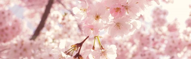 Η άνοιξη στη Sofa.gr