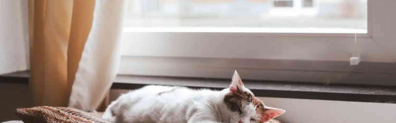 Ιωάννα Σολδάτου: Ένα κατάστημα αξιόπιστο