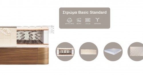 Στρώμα Basic Standard