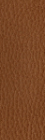 N619 - Tan  + 80.00€ 